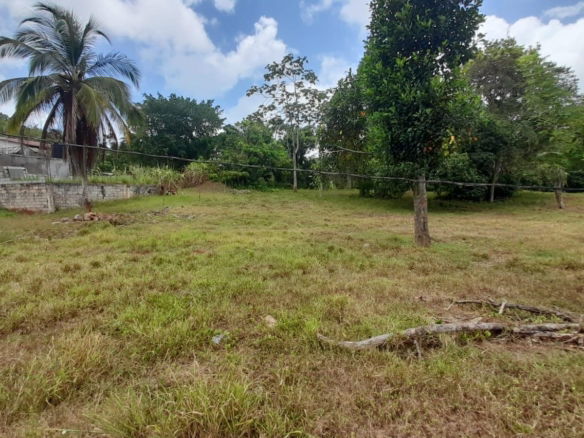 First image of Aberdeen Huntley in Aberdeen Heights, St. Ann, Jamaica - property is For Sale