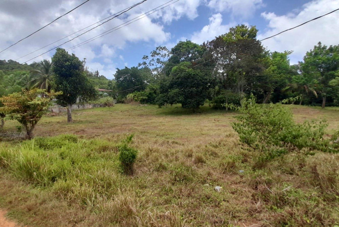 Seventh image of Aberdeen Huntley in Aberdeen Heights, St. Ann, Jamaica - property is For Sale