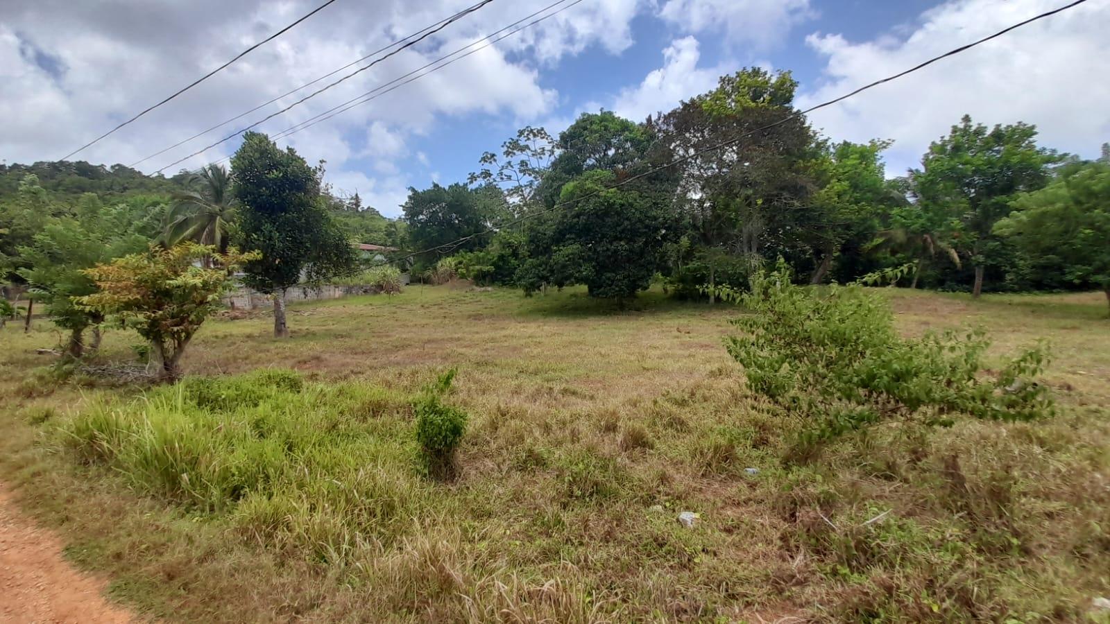 Seventh image of Aberdeen Huntley in Aberdeen Heights, St. Ann, Jamaica - property is For Sale