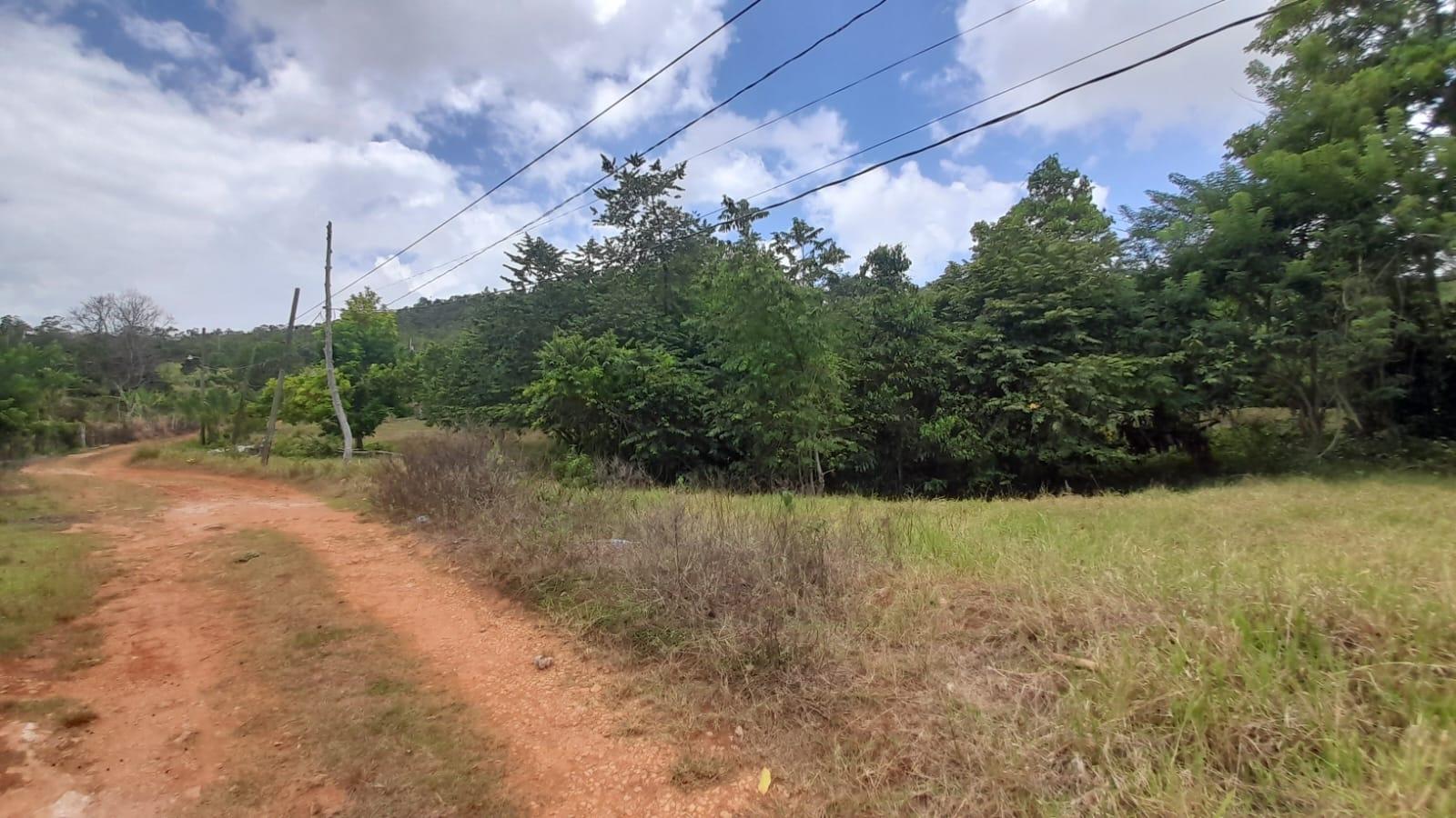 Eighth image of Aberdeen Huntley in Aberdeen Heights, St. Ann, Jamaica - property is For Sale