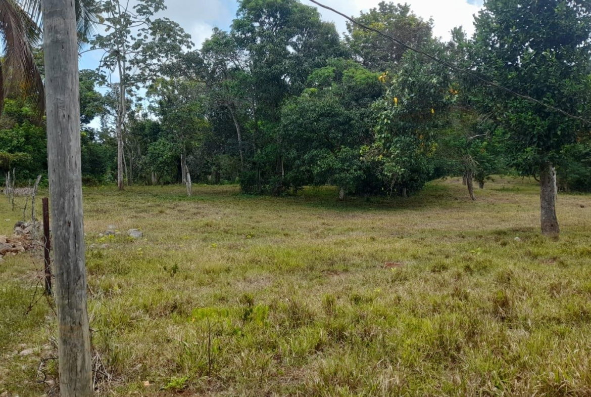 Ninth image of Aberdeen Huntley in Aberdeen Heights, St. Ann, Jamaica - property is For Sale