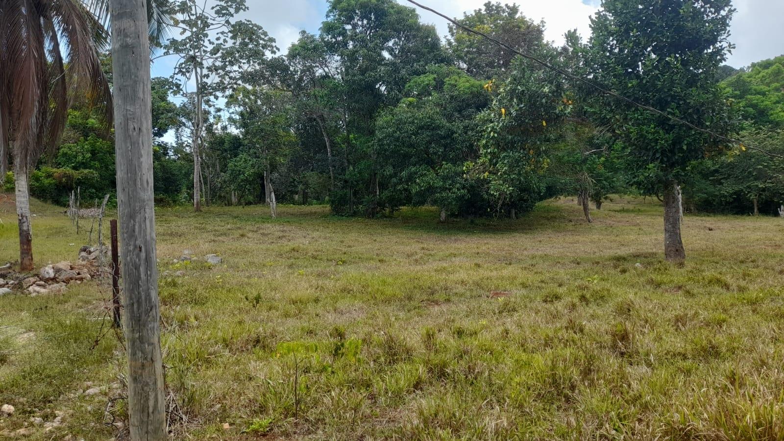 Ninth image of Aberdeen Huntley in Aberdeen Heights, St. Ann, Jamaica - property is For Sale