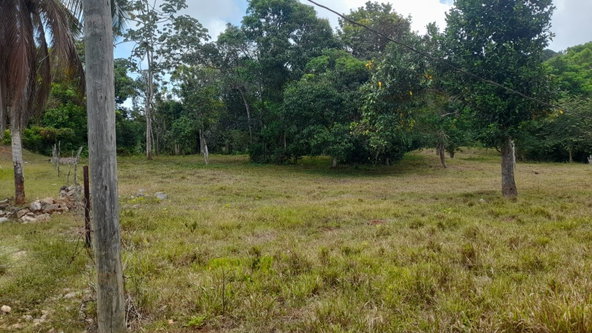 Ninth image of Aberdeen Huntley in Aberdeen Heights, St. Ann, Jamaica - property is For Sale
