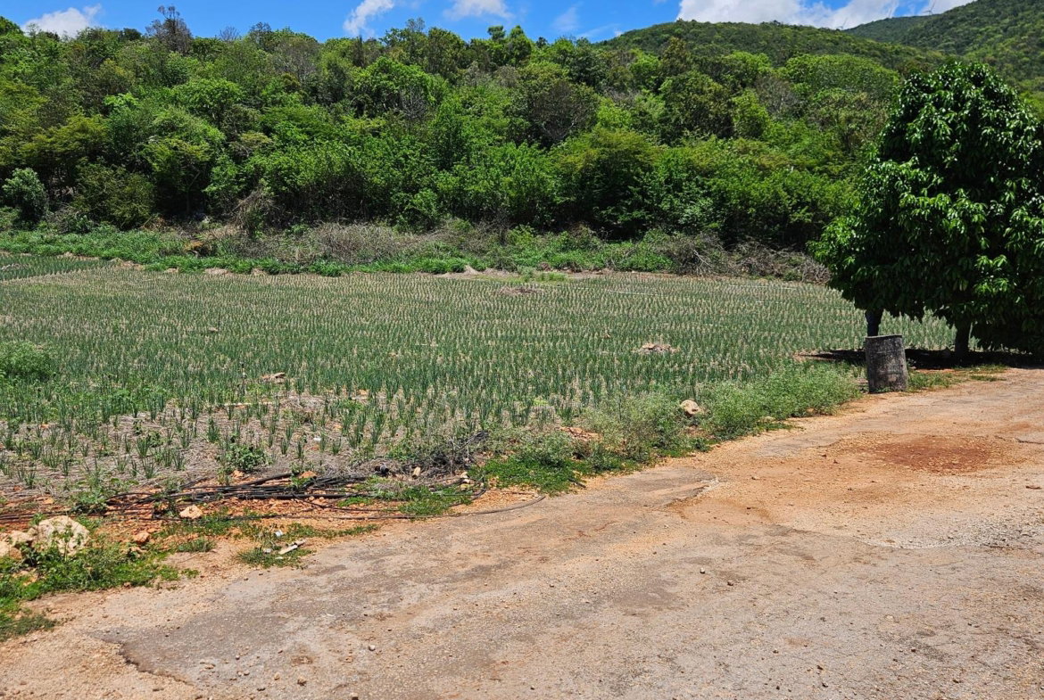 Second image of New Forest, Manchester in New Forest, Manchester, Jamaica - property is For Sale