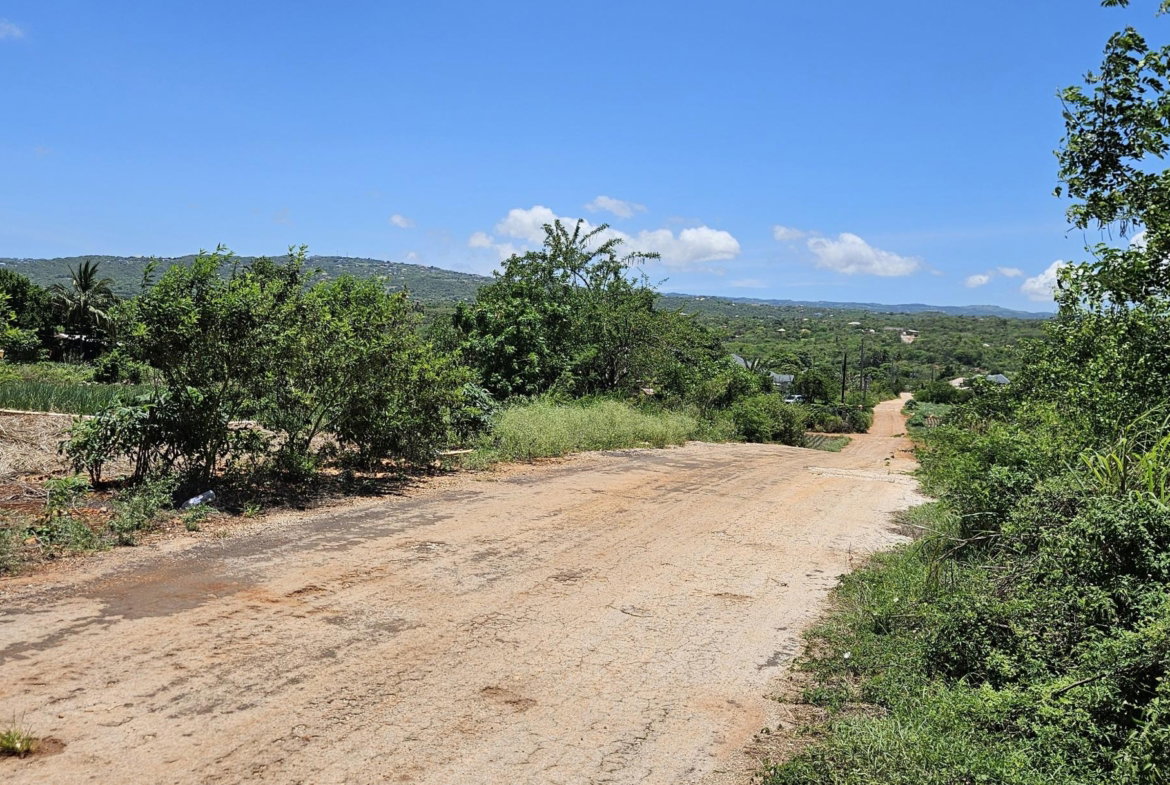 Sixth image of New Forest, Manchester in New Forest, Manchester, Jamaica - property is For Sale