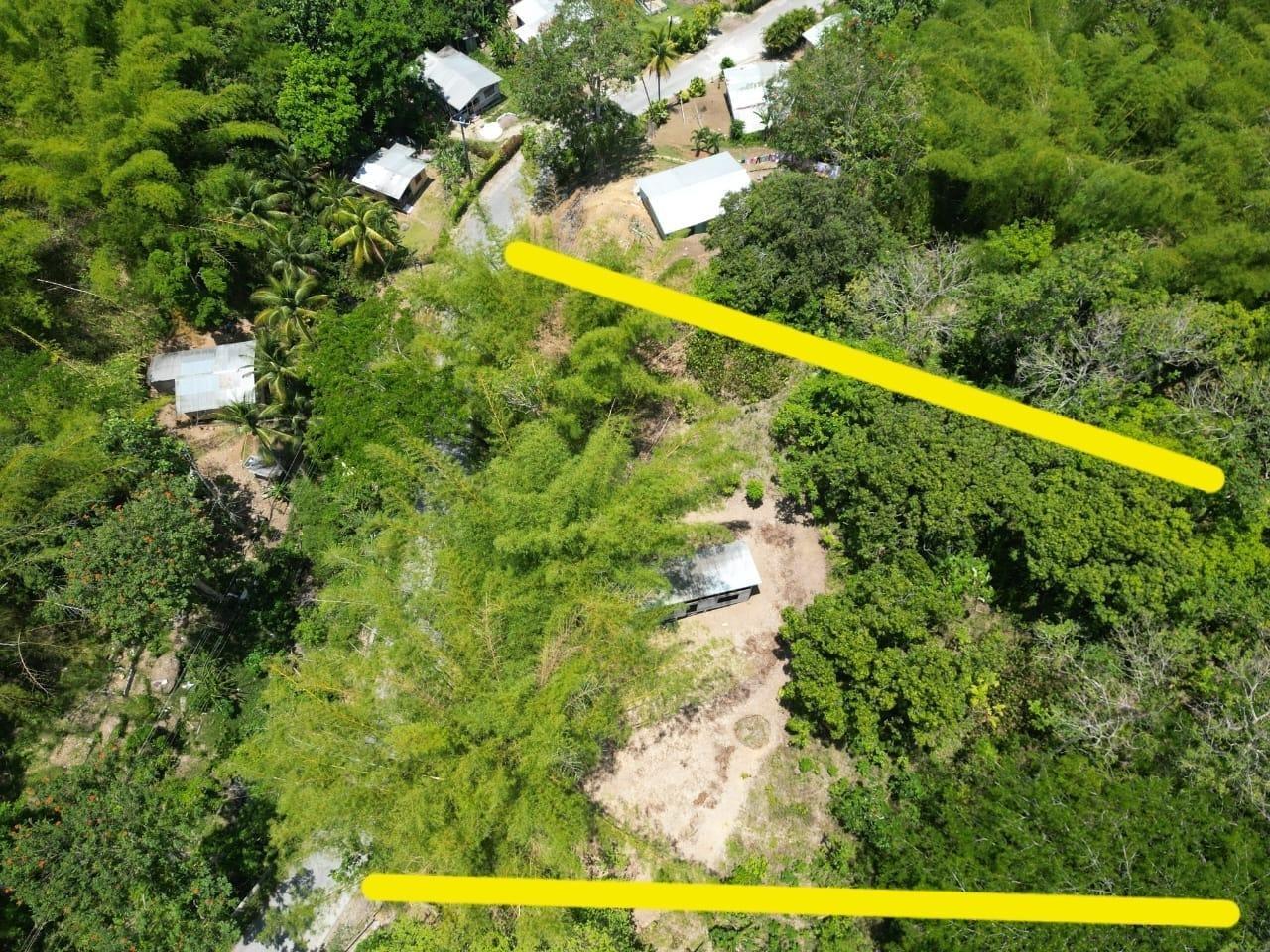 5-Acre-Residential-Lot-for-Sale-in-Hanover-Jamaica-–-Prime-Location-Near-Coast Third image of 15 Saxham, Green Island in Green Island, Hanover, Jamaica - property is For Sale