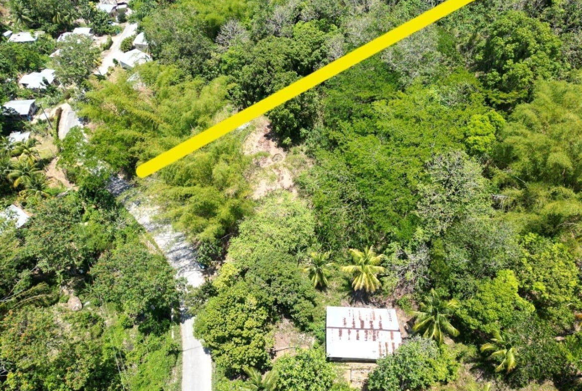 Fourth image of 15 Saxham, Green Island in Green Island, Hanover, Jamaica - property is For Sale