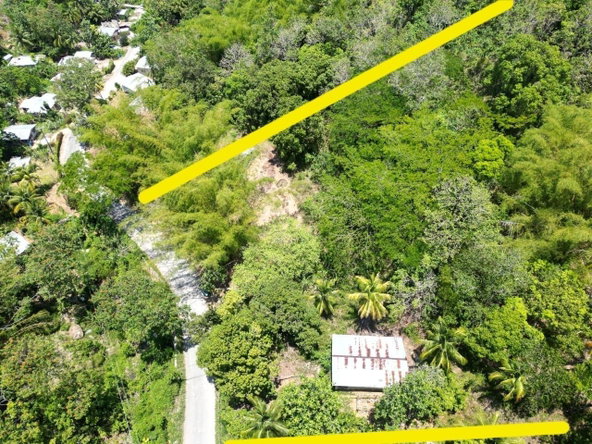 Fourth image of 15 Saxham, Green Island in Green Island, Hanover, Jamaica - property is For Sale