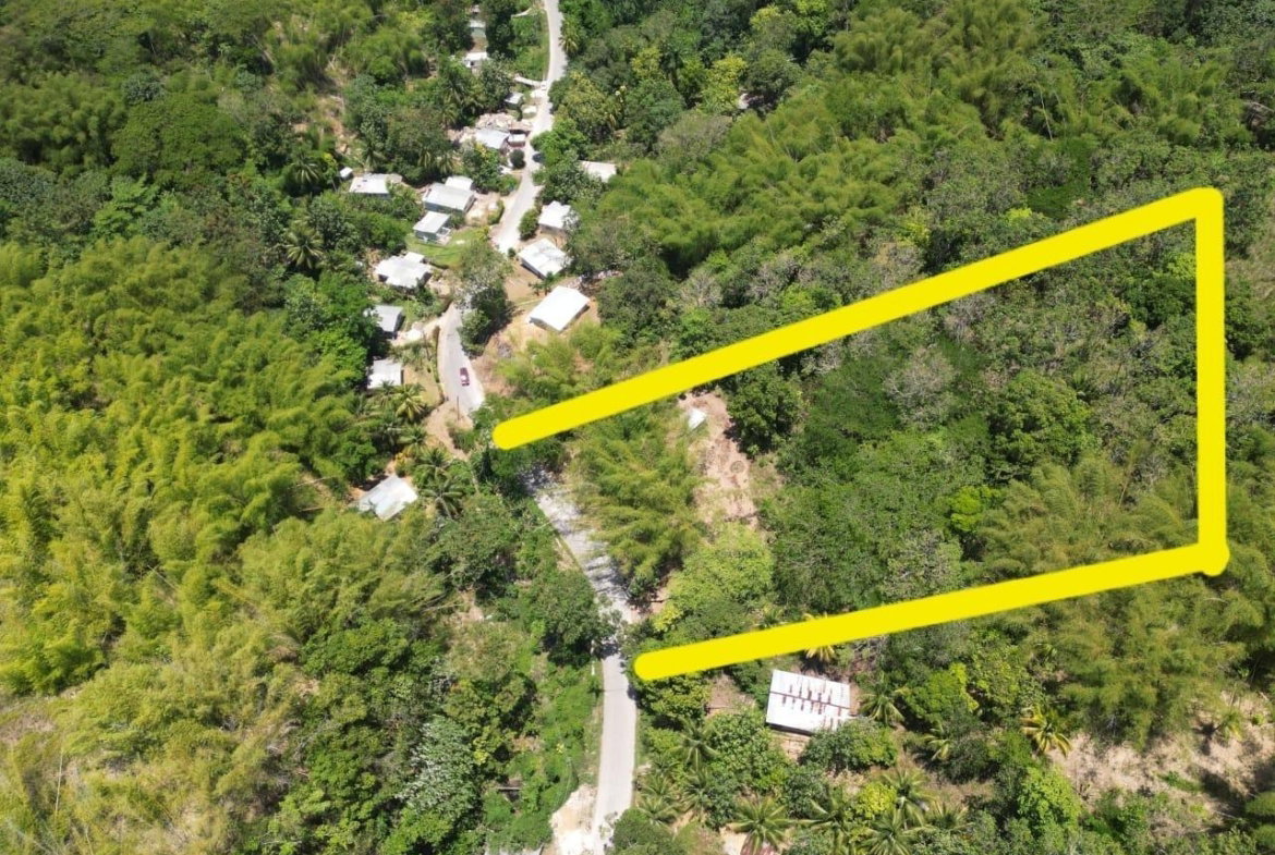 Fifth image of 15 Saxham, Green Island in Green Island, Hanover, Jamaica - property is For Sale