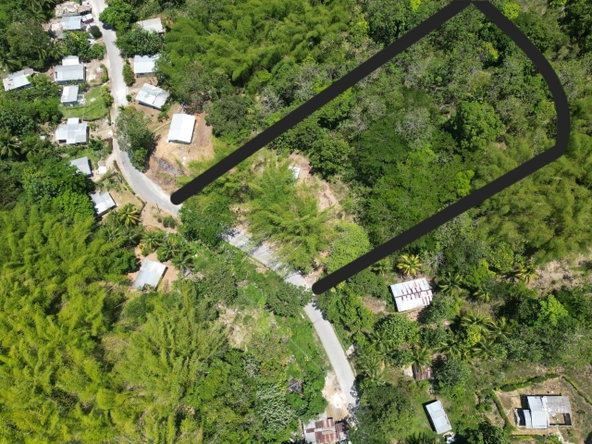 Seventh image of 15 Saxham, Green Island in Green Island, Hanover, Jamaica - property is For Sale