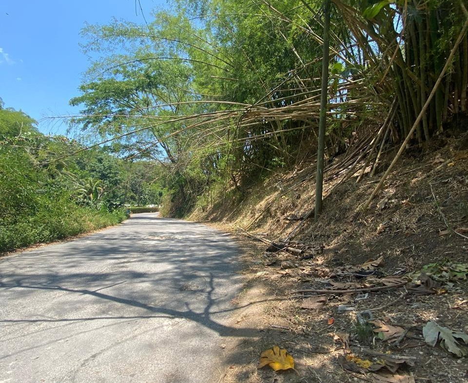 Eighth image of 15 Saxham, Green Island in Green Island, Hanover, Jamaica - property is For Sale