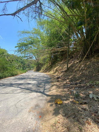 Eighth image of 15 Saxham, Green Island in Green Island, Hanover, Jamaica - property is For Sale