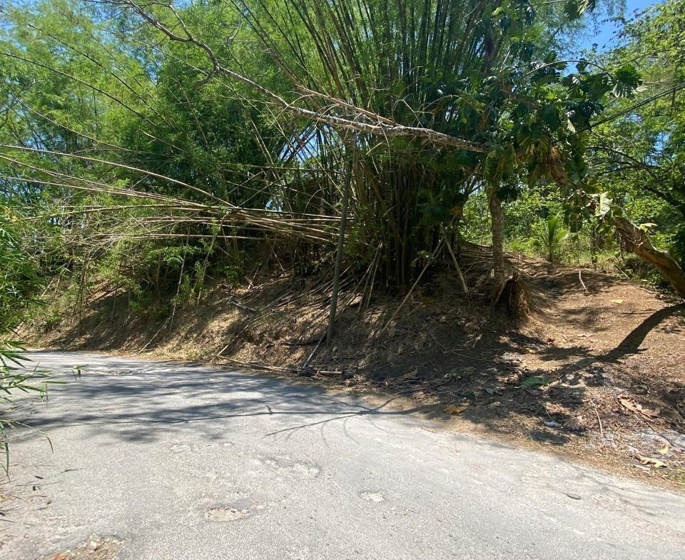 Ninth image of 15 Saxham, Green Island in Green Island, Hanover, Jamaica - property is For Sale