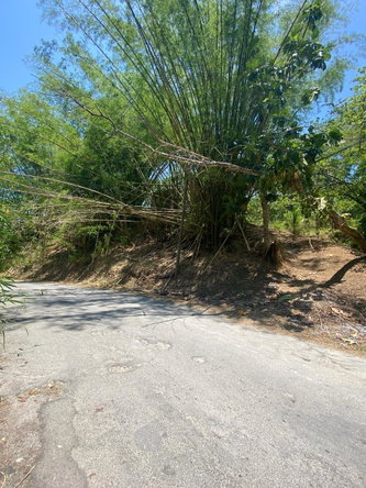 Ninth image of 15 Saxham, Green Island in Green Island, Hanover, Jamaica - property is For Sale