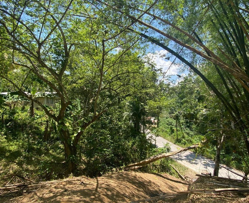 Tenth image of 15 Saxham, Green Island in Green Island, Hanover, Jamaica - property is For Sale