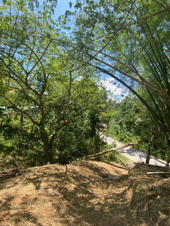 Tenth image of 15 Saxham, Green Island in Green Island, Hanover, Jamaica - property is For Sale