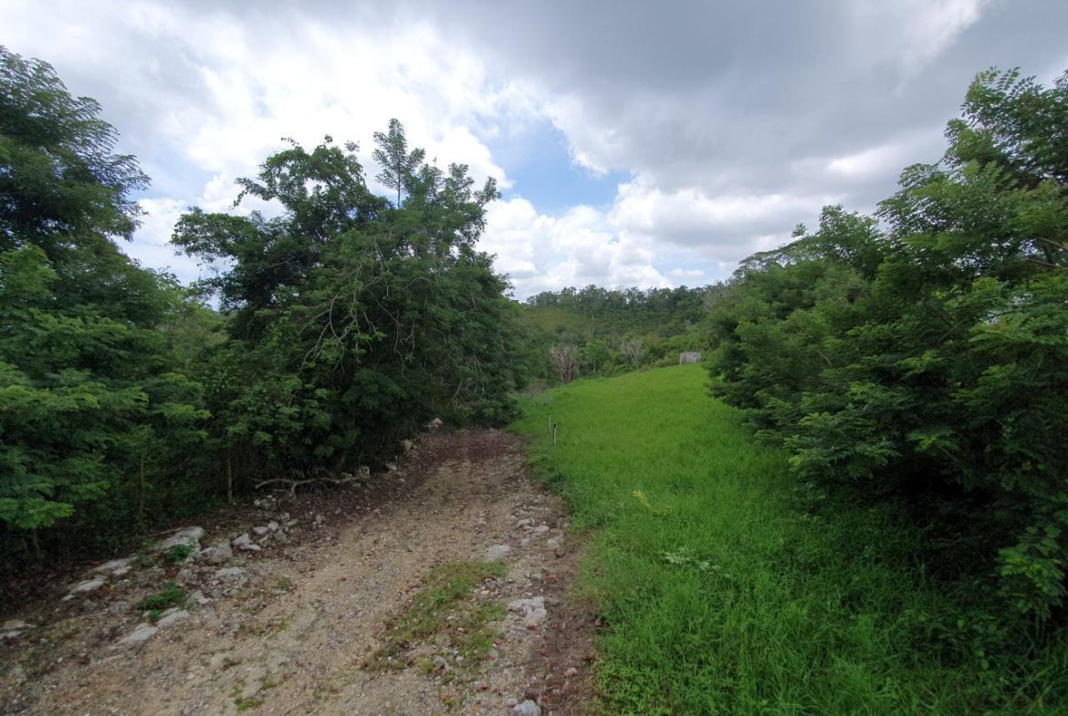 Second image of Lot 7 Golden Spring Estates in Lime Hall, St. Ann, Jamaica - property is For Sale