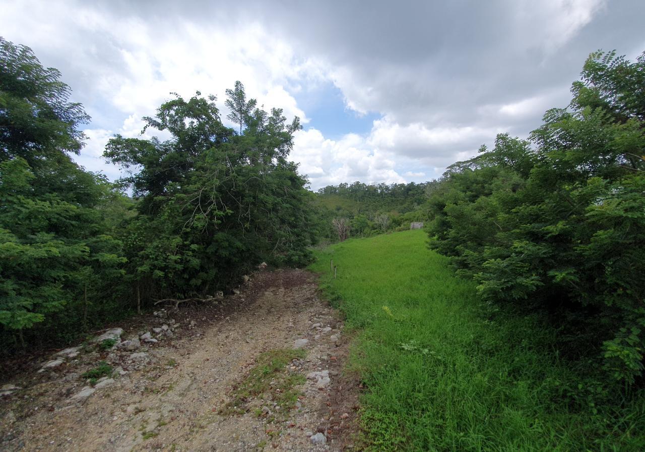 Second image of Lot 7 Golden Spring Estates in Lime Hall, St. Ann, Jamaica - property is For Sale