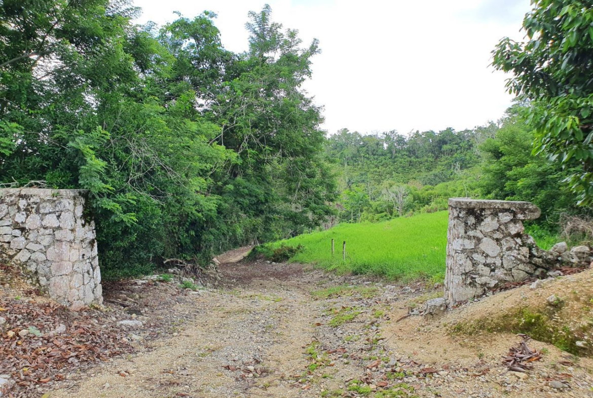 First image of Lot 7 Golden Spring Estates in Lime Hall, St. Ann, Jamaica - property is For Sale