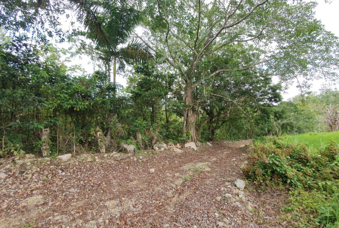 Third image of Lot 7 Golden Spring Estates in Lime Hall, St. Ann, Jamaica - property is For Sale