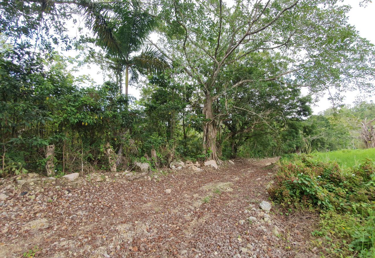 Third image of Lot 7 Golden Spring Estates in Lime Hall, St. Ann, Jamaica - property is For Sale