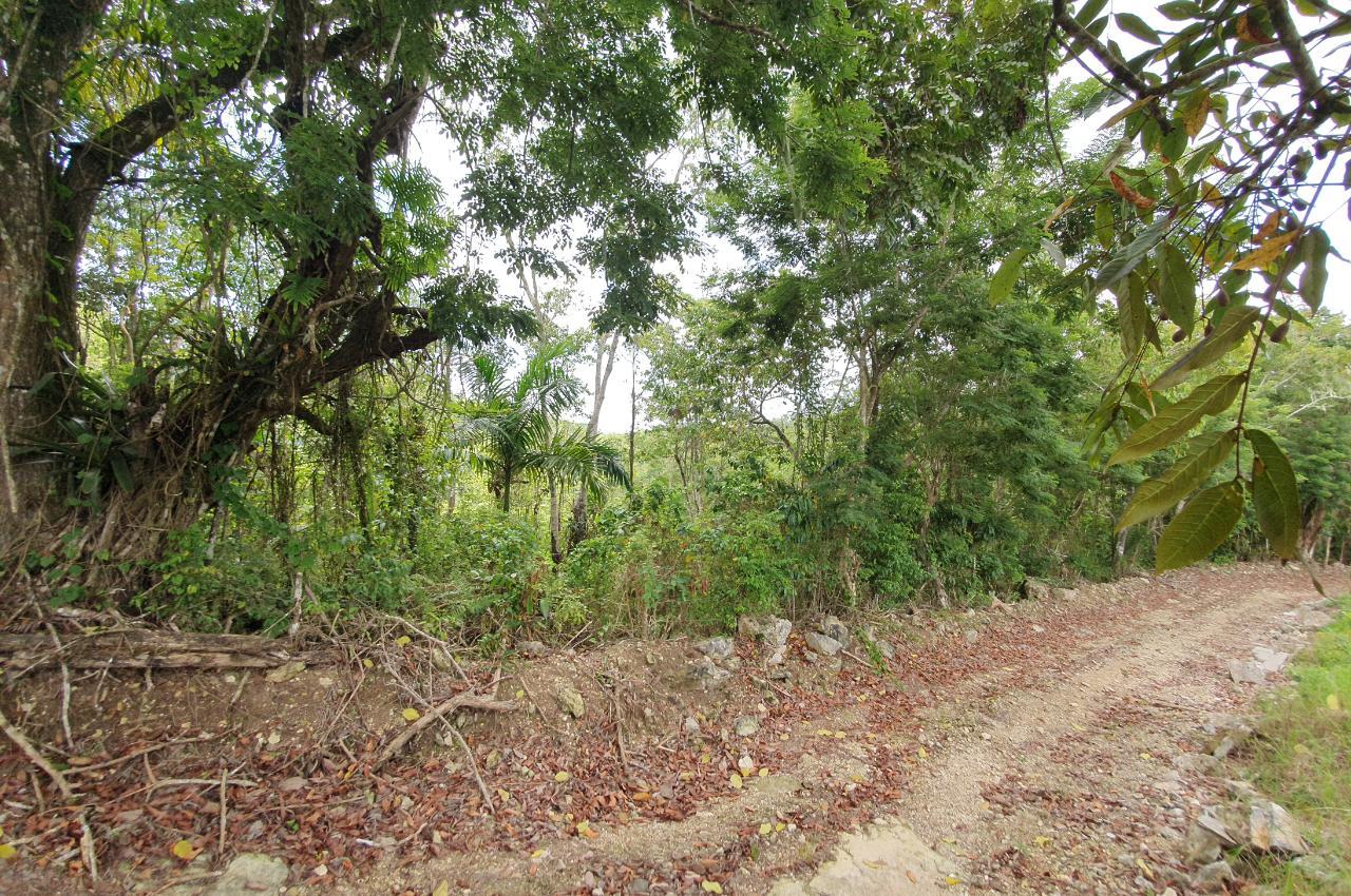 Fourth image of Lot 7 Golden Spring Estates in Lime Hall, St. Ann, Jamaica - property is For Sale