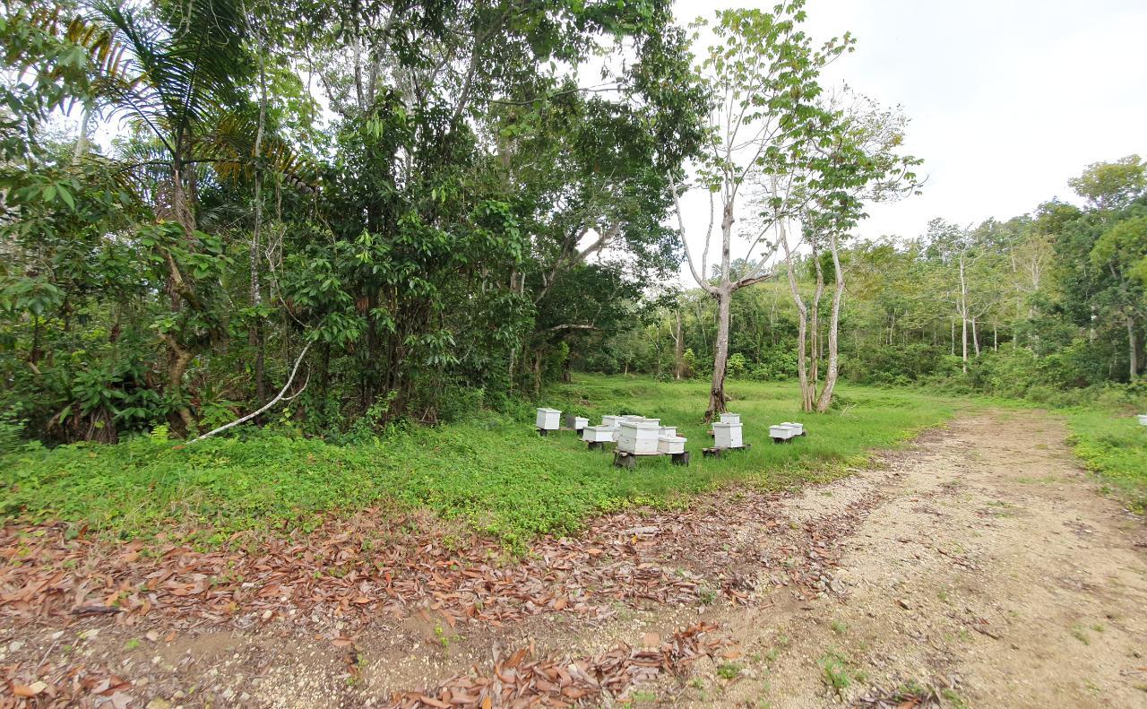Eighth image of Lot 7 Golden Spring Estates in Lime Hall, St. Ann, Jamaica - property is For Sale