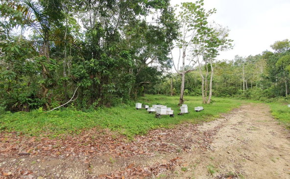 Eighth image of Lot 7 Golden Spring Estates in Lime Hall, St. Ann, Jamaica - property is For Sale