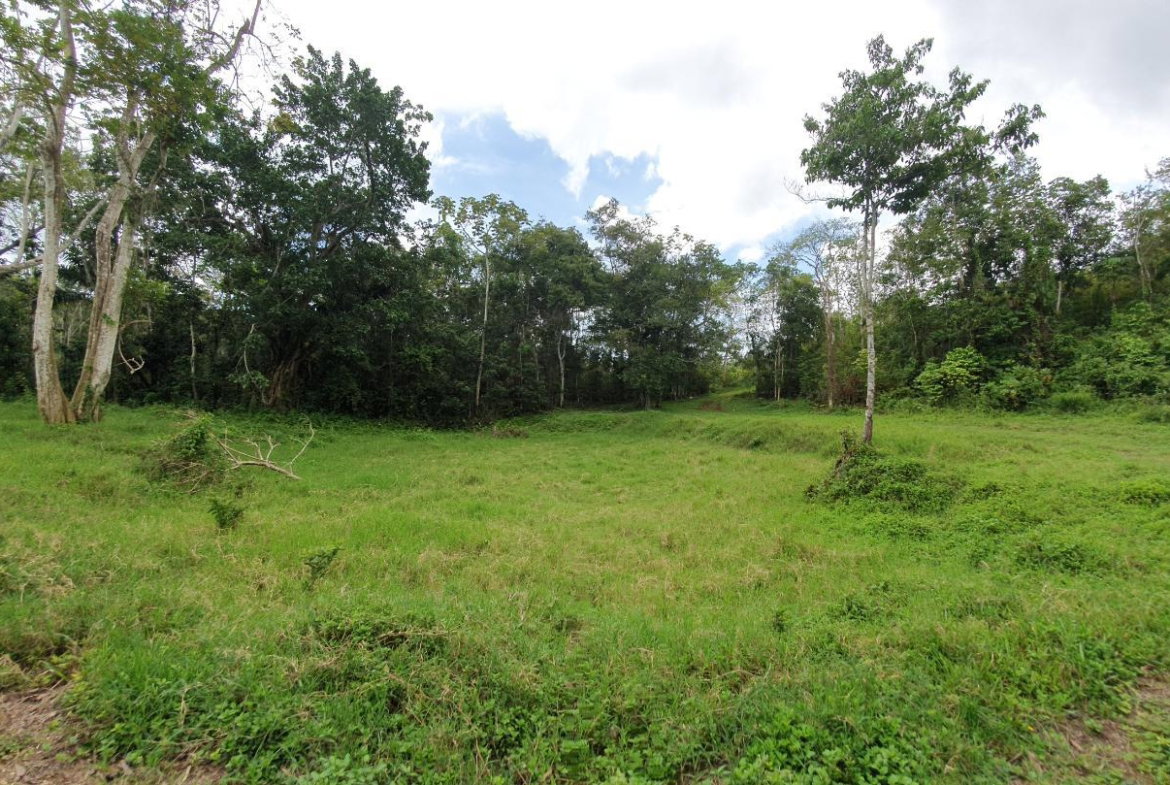 Ninth image of Lot 7 Golden Spring Estates in Lime Hall, St. Ann, Jamaica - property is For Sale