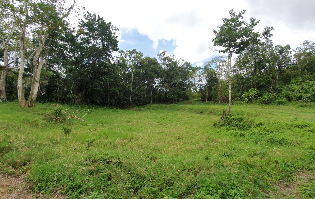Ninth image of Lot 7 Golden Spring Estates in Lime Hall, St. Ann, Jamaica - property is For Sale