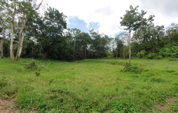 Ninth image of Lot 7 Golden Spring Estates in Lime Hall, St. Ann, Jamaica - property is For Sale