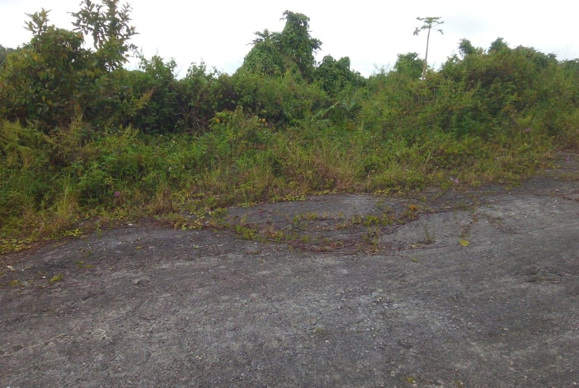 Second image of Lot 9 Winefield Acres, Claremou in Claremont, St. Ann, Jamaica - property is For Sale