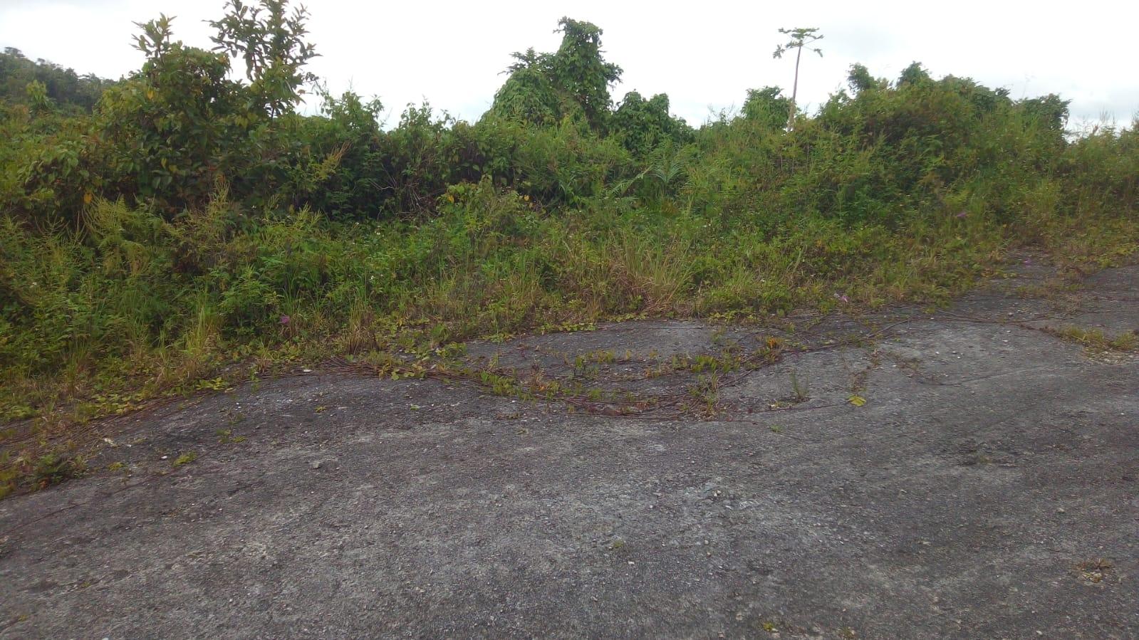 Second image of Lot 9 Winefield Acres, Claremou in Claremont, St. Ann, Jamaica - property is For Sale