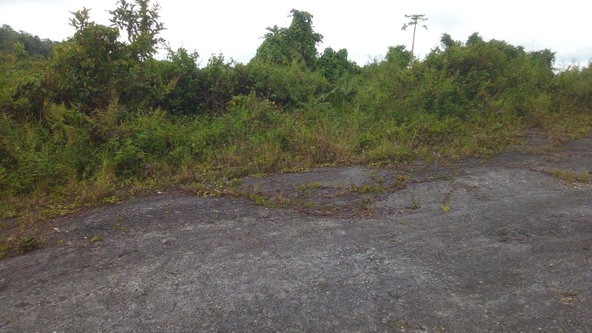 Second image of Lot 9 Winefield Acres, Claremou in Claremont, St. Ann, Jamaica - property is For Sale