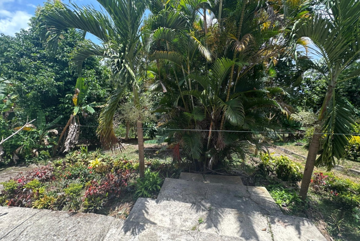 Eighteenth image of Lot 31e Peckham, in Peckham, Clarendon, Jamaica - property is For Sale