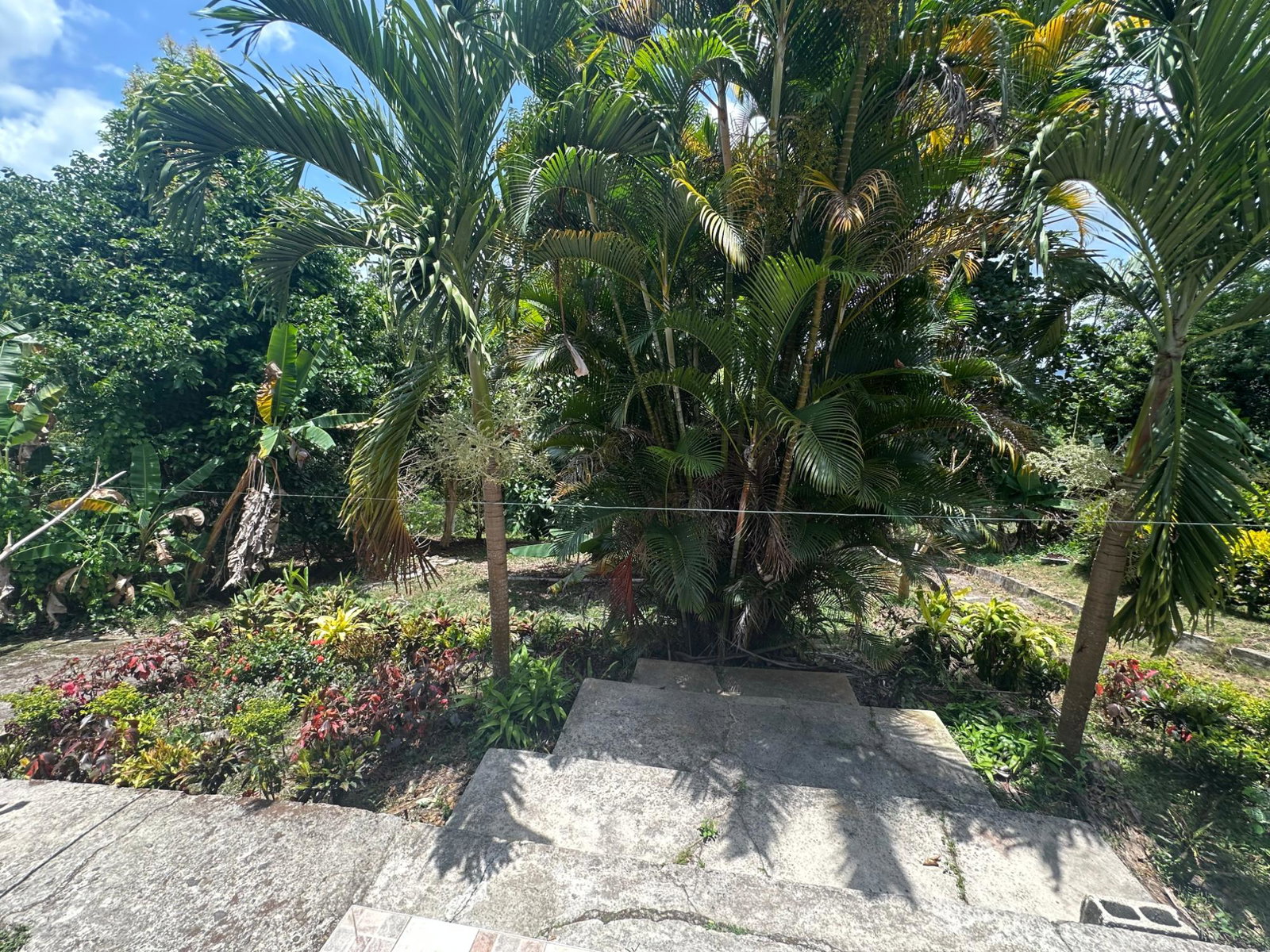 Eighteenth image of Lot 31e Peckham, in Peckham, Clarendon, Jamaica - property is For Sale