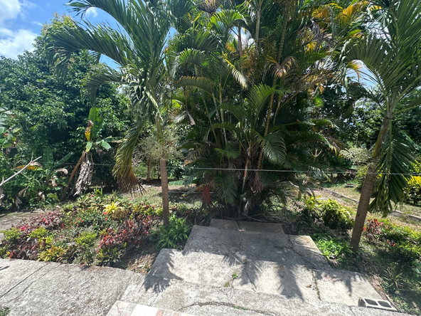 Eighteenth image of Lot 31e Peckham, in Peckham, Clarendon, Jamaica - property is For Sale