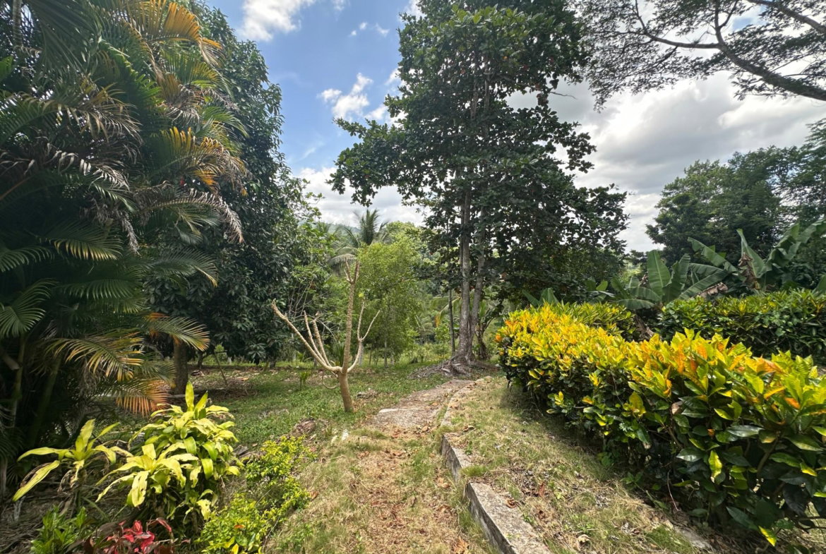 Nineteenth image of Lot 31e Peckham, in Peckham, Clarendon, Jamaica - property is For Sale