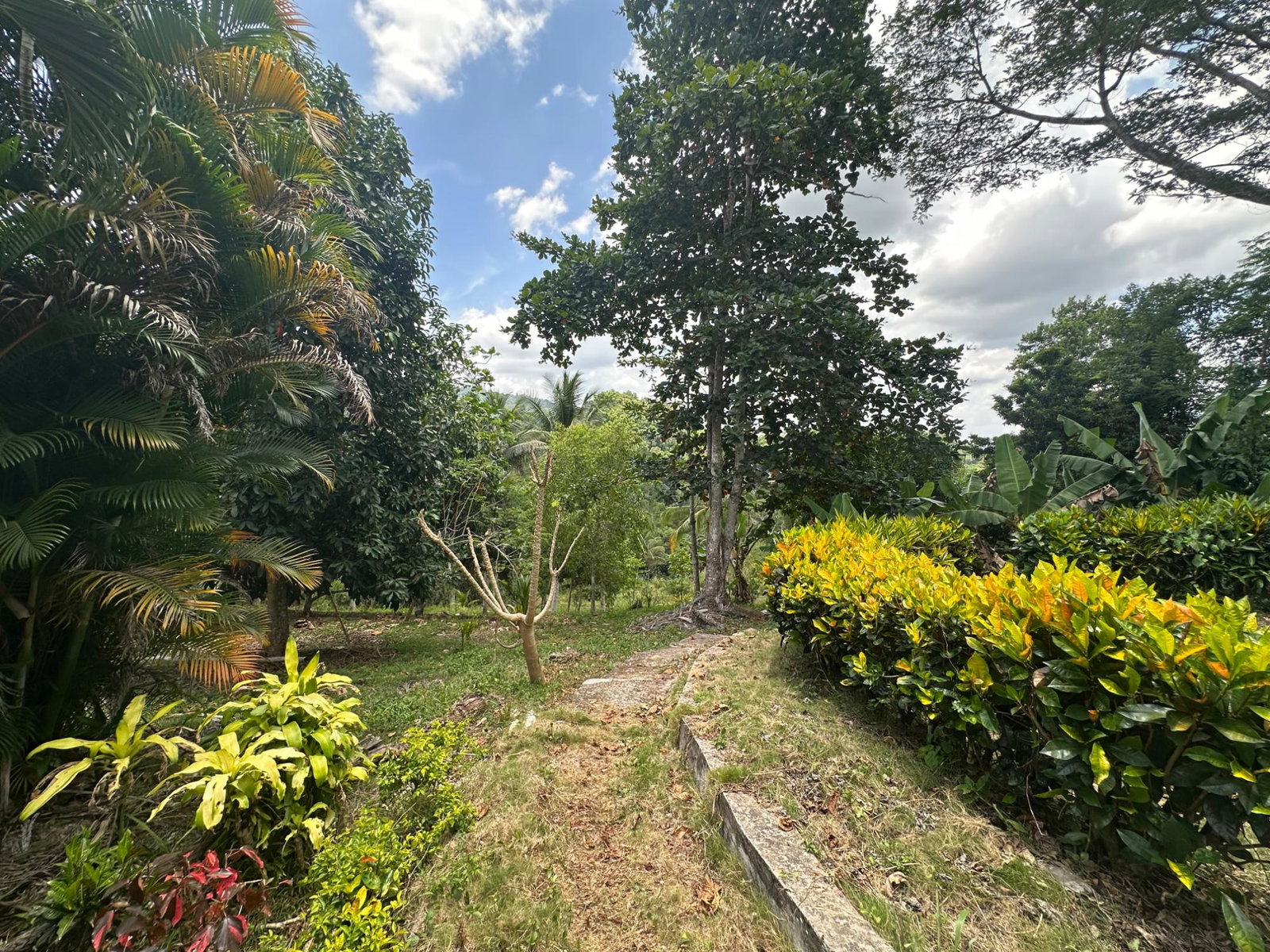 Nineteenth image of Lot 31e Peckham, in Peckham, Clarendon, Jamaica - property is For Sale