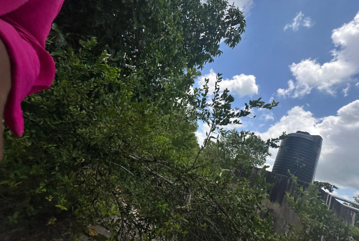 Twenty-Ninth image of Lot 31e Peckham, in Peckham, Clarendon, Jamaica - property is For Sale