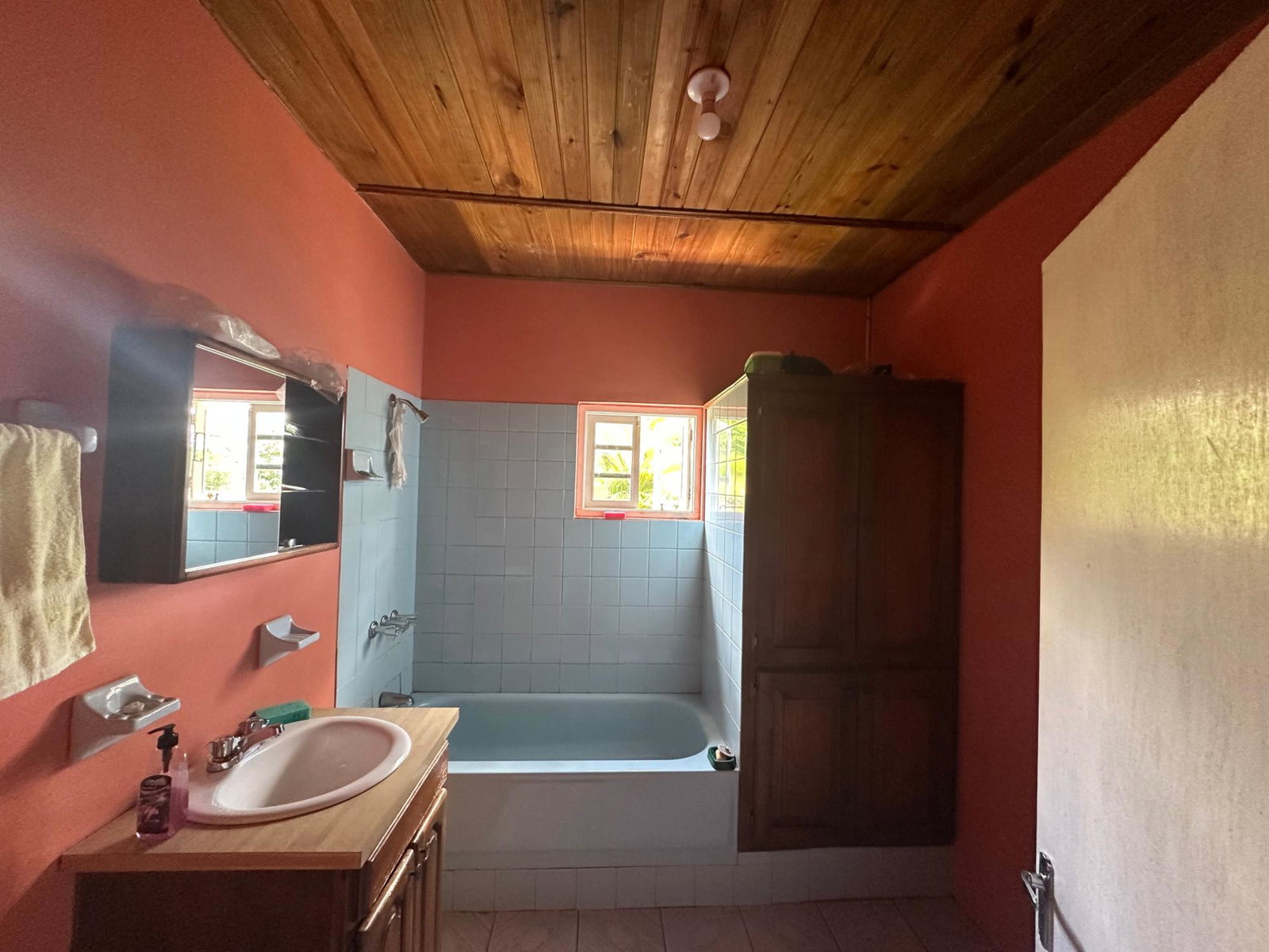 Seventh image of Lot 31e Peckham, in Peckham, Clarendon, Jamaica - property is For Sale