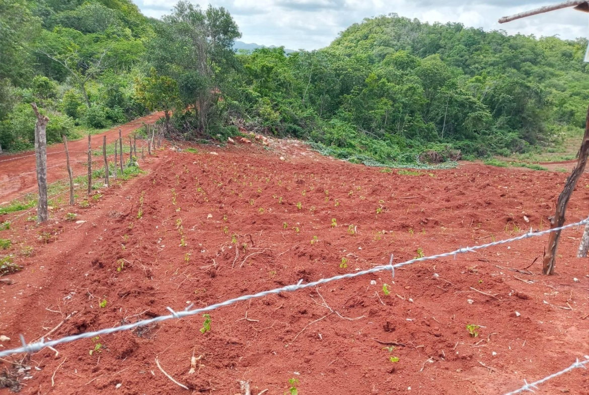 Second image of 18 Spring Vale in Spring Vale, St. Catherine, Jamaica - property is For Sale