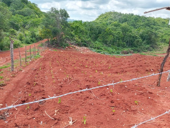 Second image of 18 Spring Vale in Spring Vale, St. Catherine, Jamaica - property is For Sale