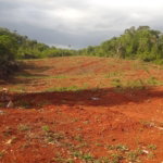 First image of 18 Spring Vale in Spring Vale, St. Catherine, Jamaica - property is For Sale