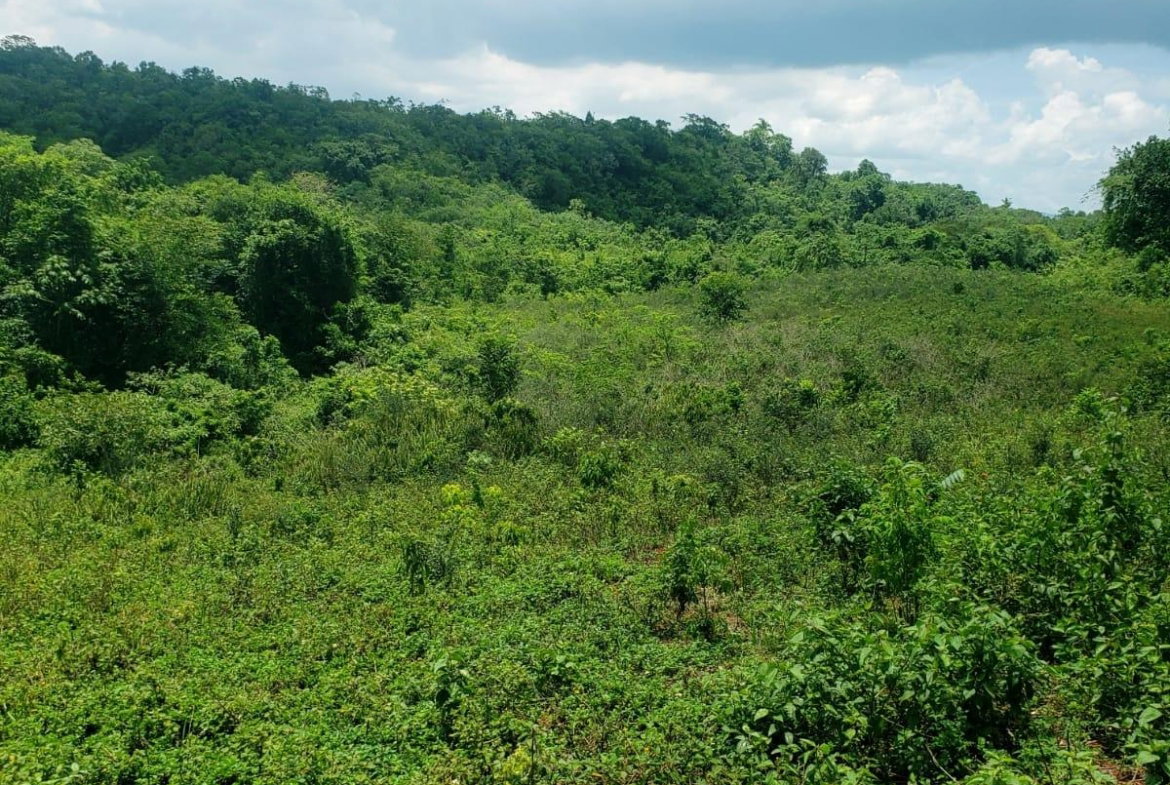 Third image of 18 Spring Vale in Spring Vale, St. Catherine, Jamaica - property is For Sale