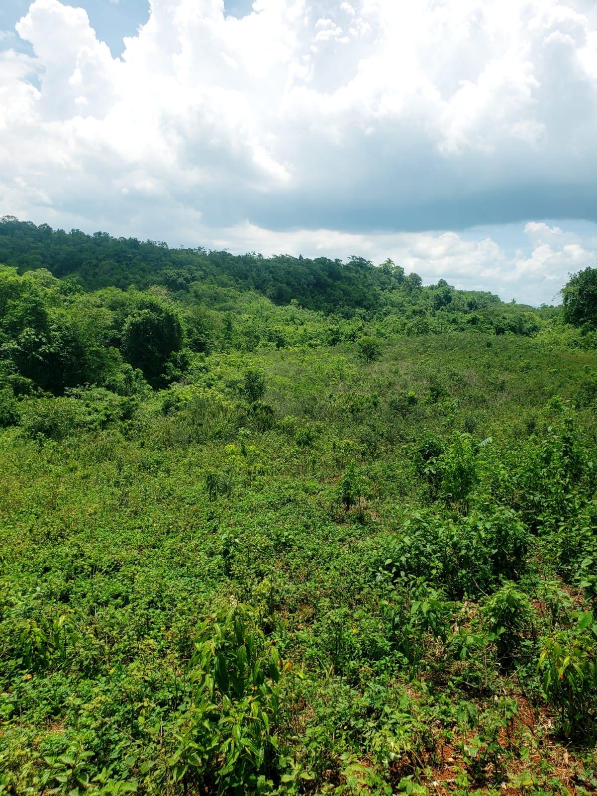 Third image of 18 Spring Vale in Spring Vale, St. Catherine, Jamaica - property is For Sale