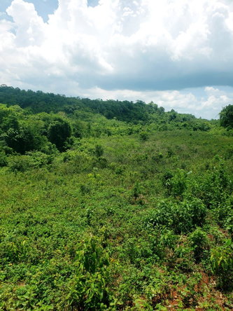 Third image of 18 Spring Vale in Spring Vale, St. Catherine, Jamaica - property is For Sale