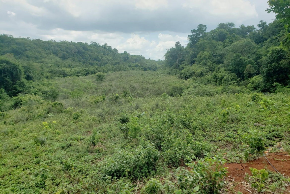 Fourth image of 18 Spring Vale in Spring Vale, St. Catherine, Jamaica - property is For Sale