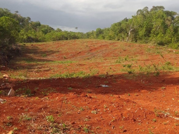 First image of 18 Spring Vale in Spring Vale, St. Catherine, Jamaica - property is For Sale