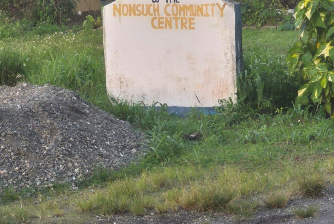 First image of Downers Hope in Look Out, Portland, Jamaica - property is For Sale